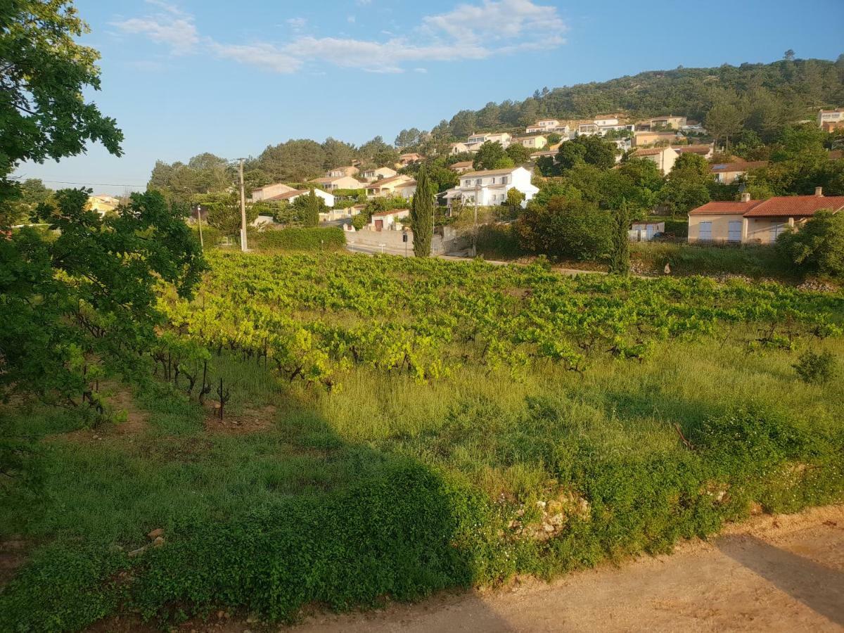Villa Marie - Provence Cote D'Azur Cabasse Екстериор снимка